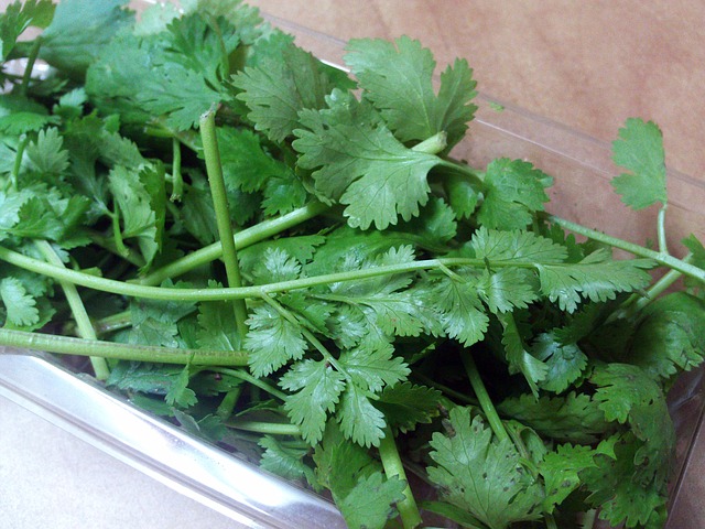 Cilantro Can Remove Of Heavy Metals From The Body Within Days