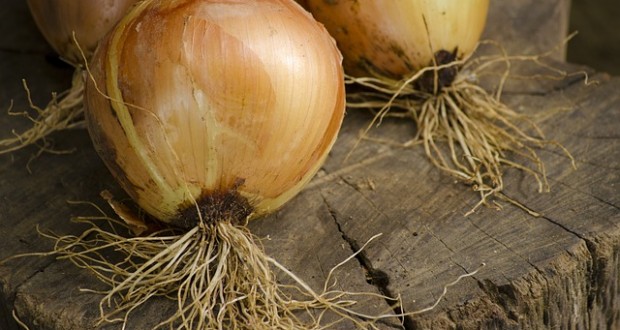 Onion Reducing Risk of Stomach Cancer – Nutrition Facts and Health Effects