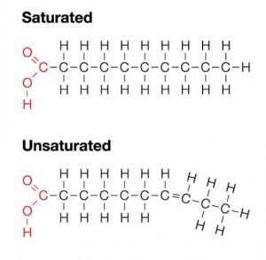 What is Insulin and How Does Fat Storage Work? - HealthInaSecond.com