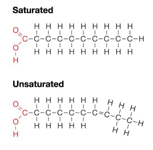 saturated-unsaturated-fats