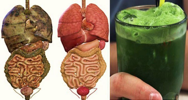 VIDEO: Eliminate Fat and Toxins from Your Body with This Detox Smoothies