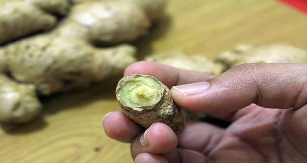 Use Ginger to Eliminate Colon, Ovarian and Prostate Cancer