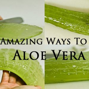 Miraculous Plant: Try Aloe Vera and Forget About Expensive Products
