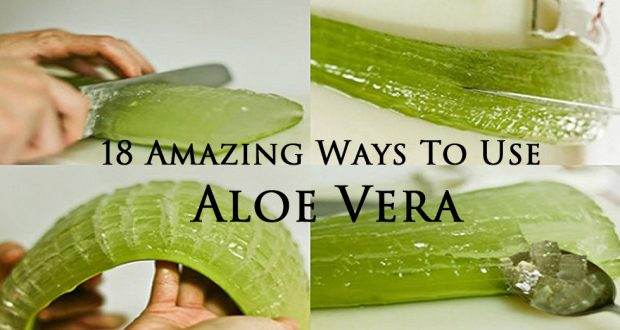 Miraculous Plant: Try Aloe Vera and Forget About Expensive Products