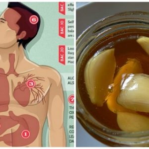 Boost Your Immunity with This DIY Remedy and Protect Your Body from Toxins