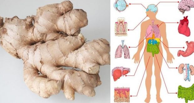 8 Proven Health Benefits of Ginger