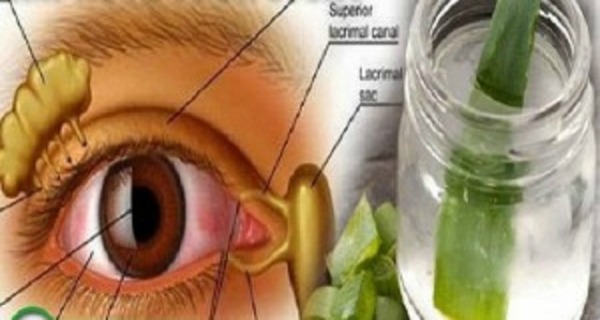 Improve Your Eyesight with This Magical Remedy