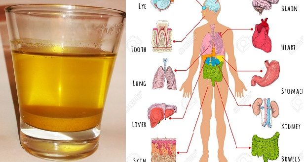 Lemon and Turmeric: Magic Combo For Daily Detox