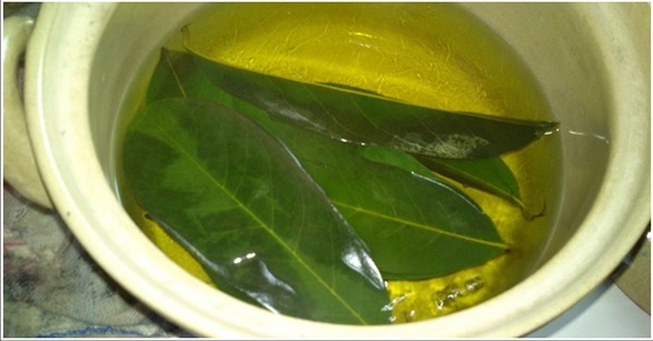 Try Boiling These Leaves and Lower Your Blood Pressure, Strengthen Your Blood Vessels and Treat Diabetes