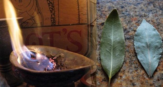 Burn a Bay Leaf in Your Home and Discover Amazing Life Hack