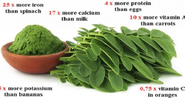 New Study Reveals Amazing Results: Cure to 5 Different Types of Cancer Could Be in This Herb