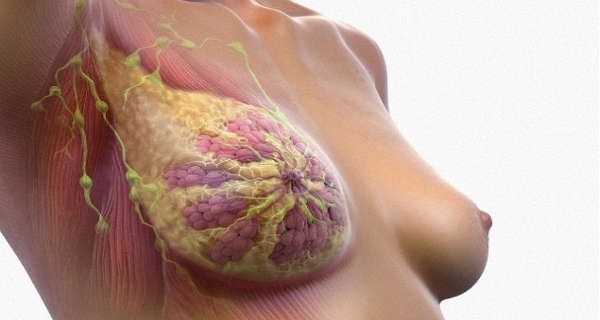 We Use It Every Day but We Don’t Know It Can Cause Breast Cancer