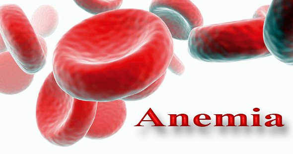 Top 15 Foods That Protect You Against Anemia