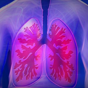 Two Lungs One Fight – Clean Them Immediately