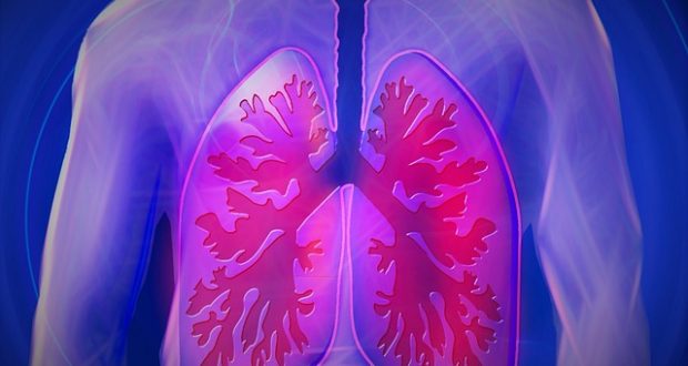 Two Lungs One Fight – Clean Them Immediately