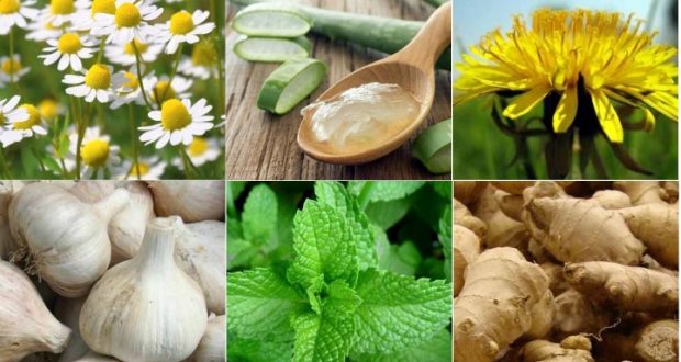 These Proven Homemade Remedies Will Improve Your Health and Strengthen Your Body