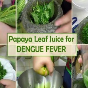 Papaya Leaf Juice Can Cure Dengue Fever: Make This Remedy at Your Home