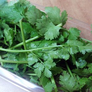 Detoxify Your Body and Remove 80% of Heavy Metals in Just 42 Days with the Power of Cilantro