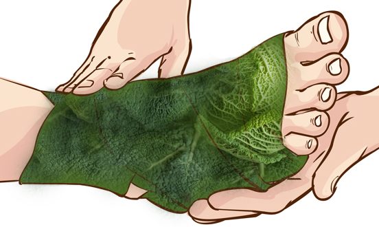 Simple and Fast: Cabbage Leaves Can Save You from Arthritis and Gout