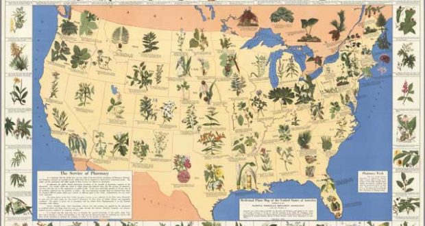 See How Amazing This 1930’s Pharmacist’s Map Can Be For Many Health Conditions!