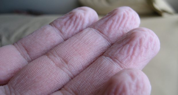 Did You Know Why Your Fingers Wrinkle In Water? It Is A Defense Mechanism!