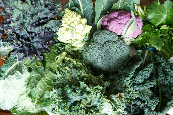 Alkaline Diet That Fights Cancer!