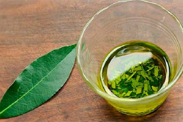 Eliminate High Blood Pressure, Sugar and Fat in Your Blood with This Magical Leaf