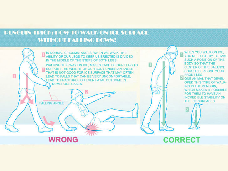 Penguin Trick: How To Walk On Ice Surface Without Falling Down!