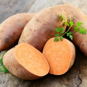 Did You Know That Protein in Sweet Potato Can Destroy Cancer Cells?