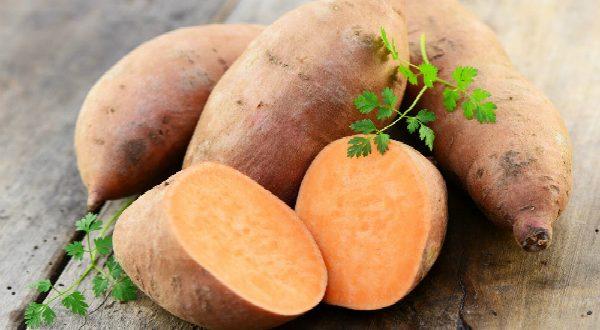 Did You Know That Protein in Sweet Potato Can Destroy Cancer Cells?