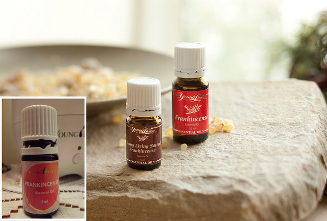 Did You Know About Frankincense Oil? Well, Apparently It Can Get Rid Of Cancer Cells!