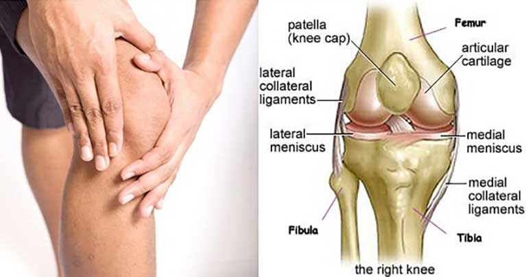 Relieve Knee Pain and Rebuild You Knees with These 5 Easy Stretches