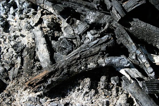 How Burning Wood Ash Can Be Of Huge Help!