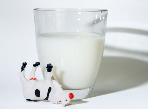 What Kind Of Milk Should The Babies Drink? Read What This Expert Has To Say!