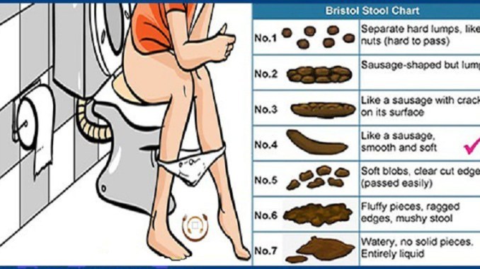 Your Poop Can Tell a Lot About Your Health