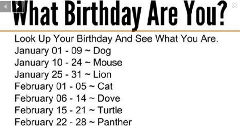 Animal Star Sign: What’s Your Birthday?