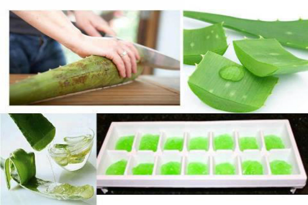 Why You Should Try Freezing Aloe Vera