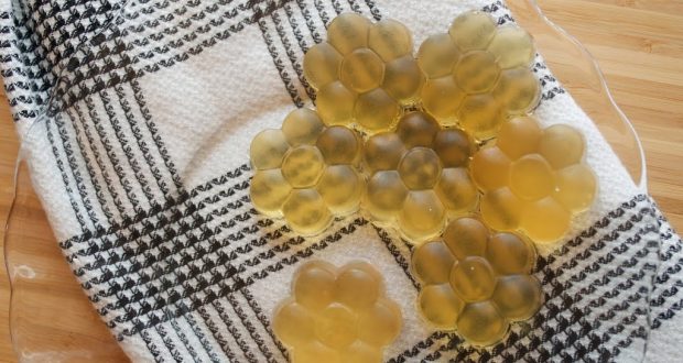 Apple Cider Vinegar Gummies