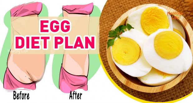 The Boiled Egg Diet – Lose 20 Pounds In Just 2 Weeks